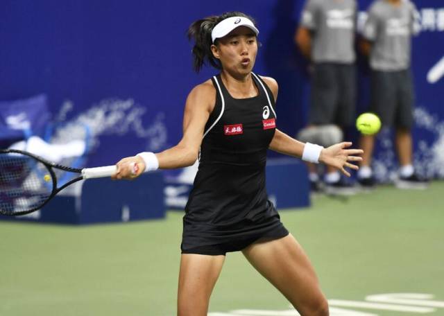 国内支持 国内支持